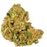 Blueberry Shortcake Strain Clones